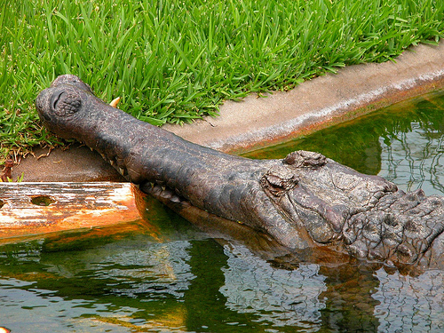 Article Thumbnail Image