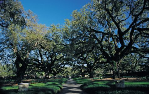 brookgreen gardens