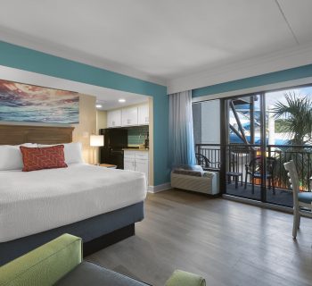 Splash Deck Junior Suite